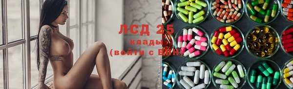 твердый Арсеньев