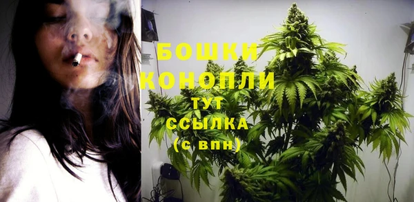 PSILOCYBIN Баксан
