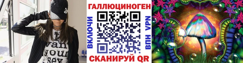 Галлюциногенные грибы Psilocybe  где купить наркоту  МЕГА ONION  Верхний Тагил 